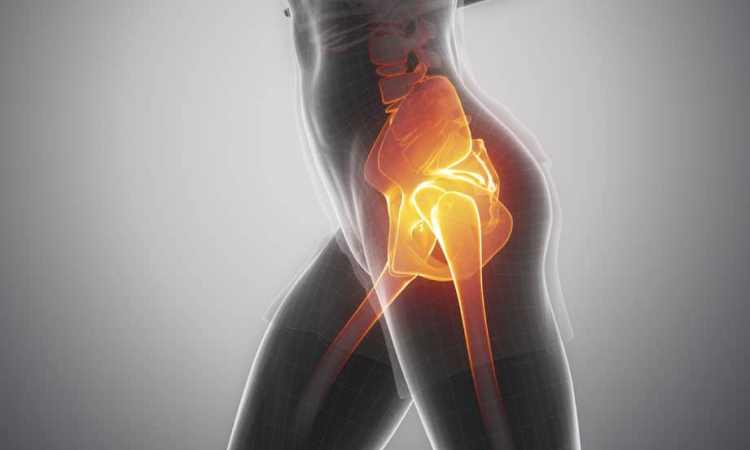 All You Need to Know About the Hip Flexors